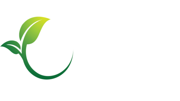 mg wedstore logo32