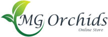 MG Orchids Online Store